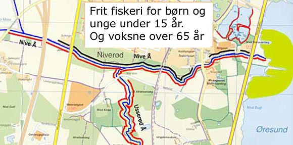 Her må du fiske - det er sikkert, at du må fiske ved sort streg. Altså nord for Nivå å.