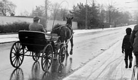 Alternativ transport på Strandvejen nord for København. 