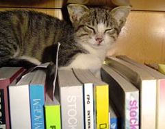 bogbytning niså bibliotek