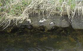Oldtidsvej 2004
