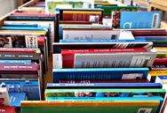 bogudsalg  15. november og to uger frem kan man på Nivå Bibliotek og Medborgercenter