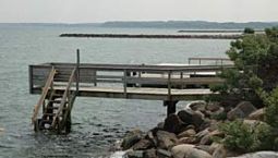 Pingvinernes bro skal rives ned