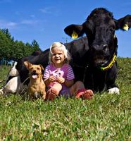 barn hund og ko i Krogerup Skovene